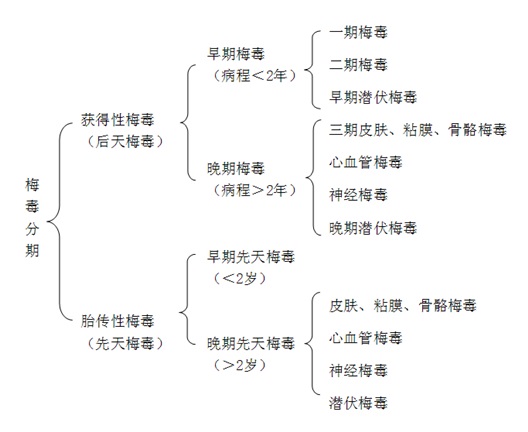 一期梅毒 一期梅毒