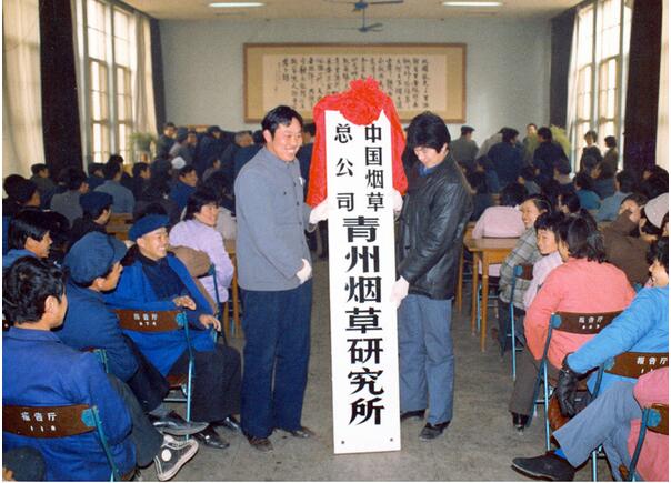 历史沿革 历史沿革
