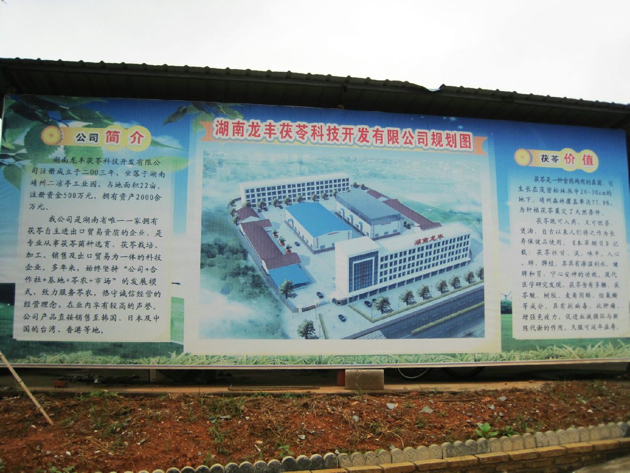 中国国际友好城市促进会