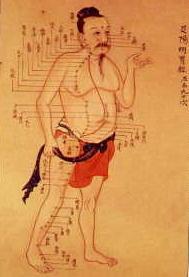 中医穴道图表 中医穴道图表