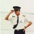 中国机长(中国1996年张羽执导电视剧)