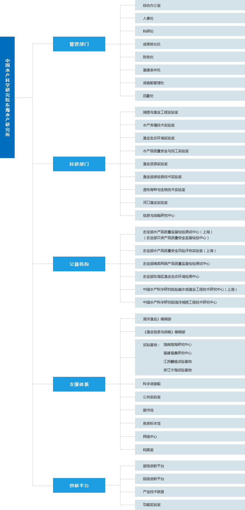 组织机构图 组织机构图