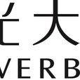 中国光大控股有限公司