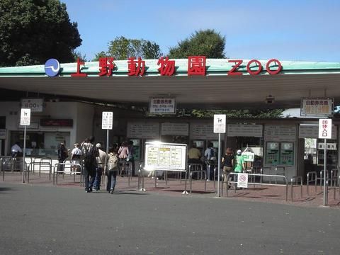 上野动物园 上野动物园