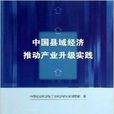 中国县域经济推动产业升级实践