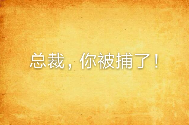 总裁，你被捕了！