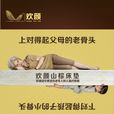 上海欢颜家具有限公司