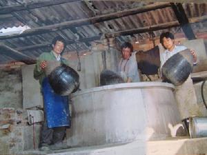 三宝镇兴龙村 三宝镇兴龙村