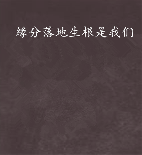 缘分落地生根是我们