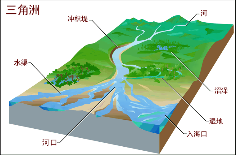 三角洲(常见的地表形貌)