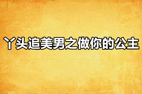 丫头追美男之做你的公主