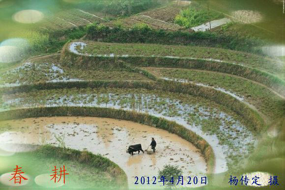 上庄村(重庆市奉节县青龙镇上庄村) 上庄村(重庆市奉节县青龙镇上庄村)