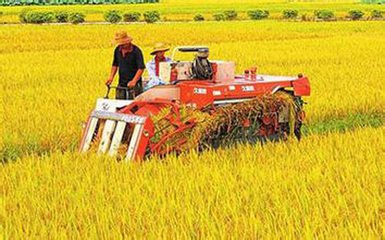 “十三五”全国新型职业农民培育发展规划 “十三五”全国新型职业农民培育发展规划