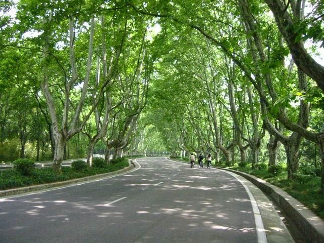 陵园路 陵园路
