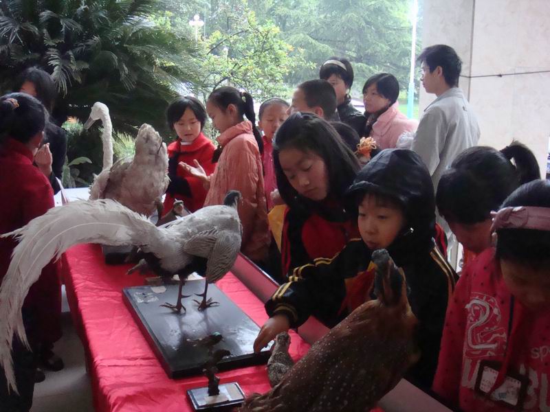 绵阳师範学院附属中学 绵阳师範学院附属中学