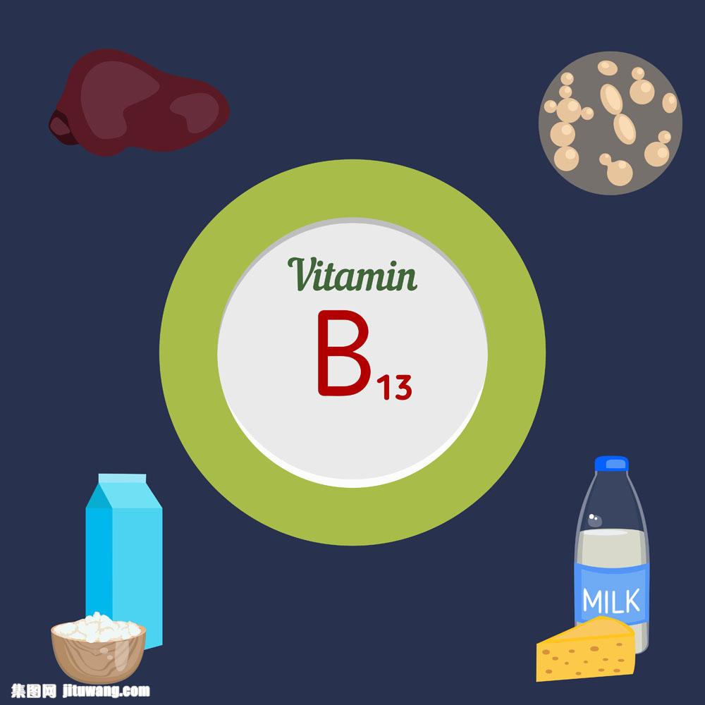 维生素B13