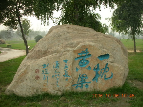 一枕黄粱 一枕黄粱