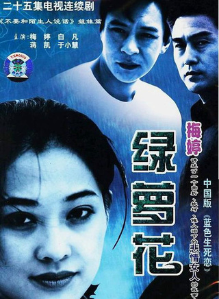 丁柳元