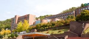 又松大学 又松大学