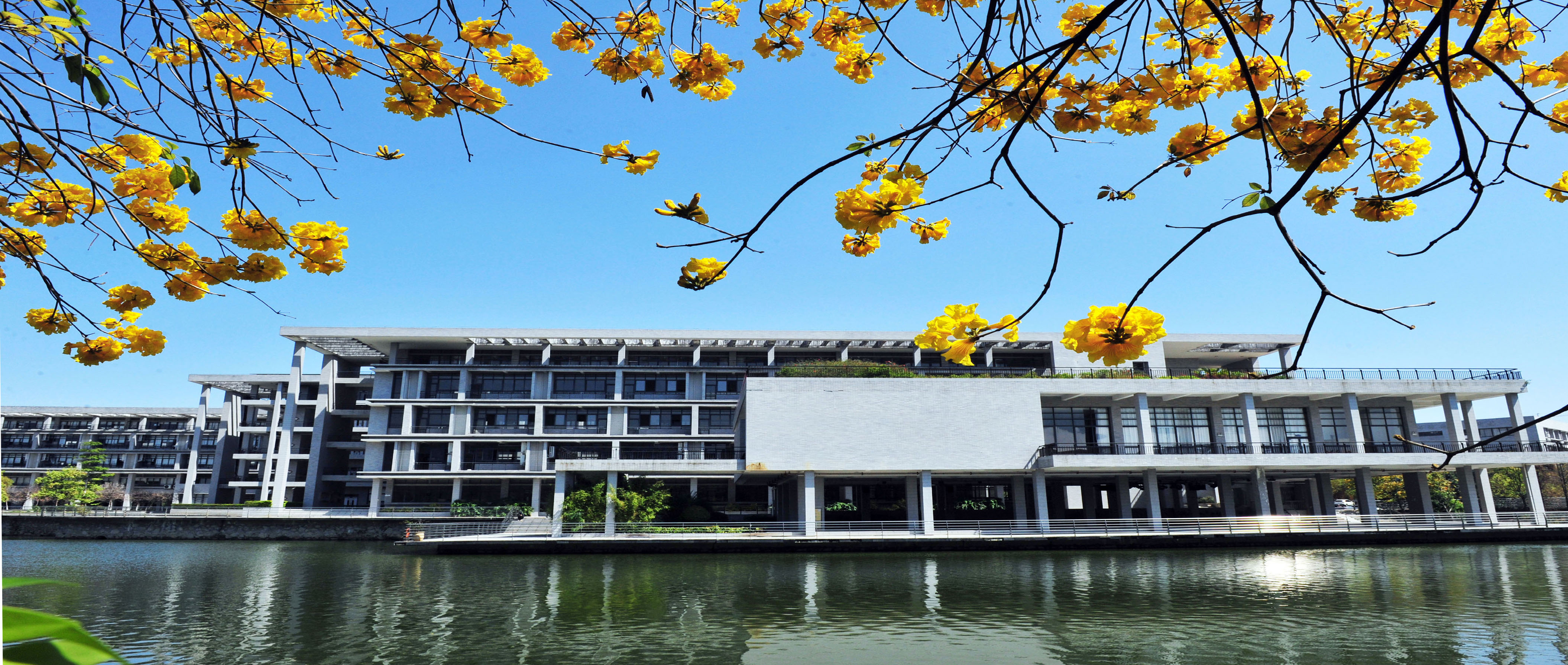 东莞职业技术学院校园风景 东莞职业技术学院校园风景