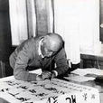 谒昭君墓