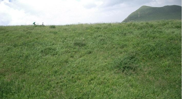 灵山草甸 灵山草甸