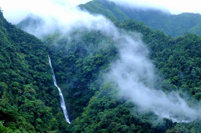 广西十万大山国家森林公园(上思十万大山森林公园)