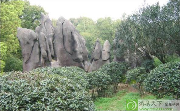 神龙公园 神龙公园