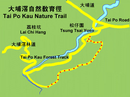 大埔滘自然教育径 大埔滘自然教育径