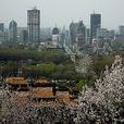 铁东区(辽宁省鞍山市下辖区)
