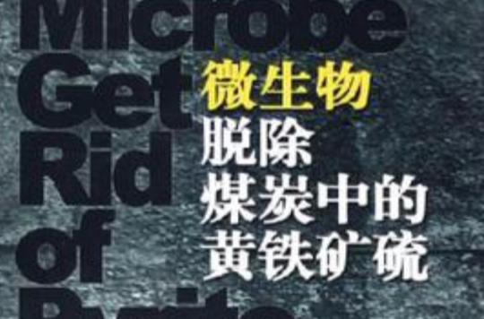 微生物脱除煤炭中的黄铁矿硫