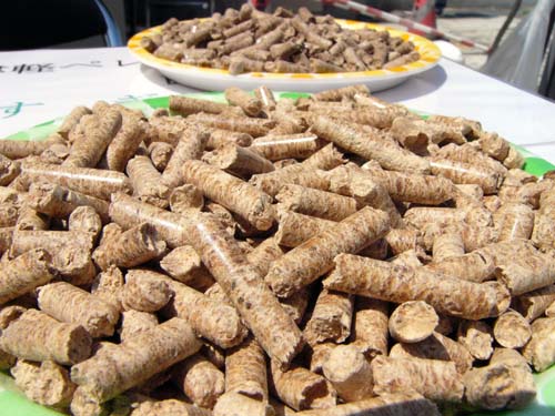 生物质成型燃料 生物质成型燃料