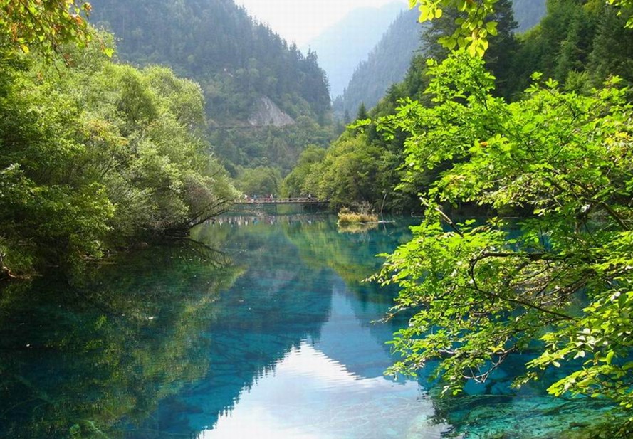 生态景观