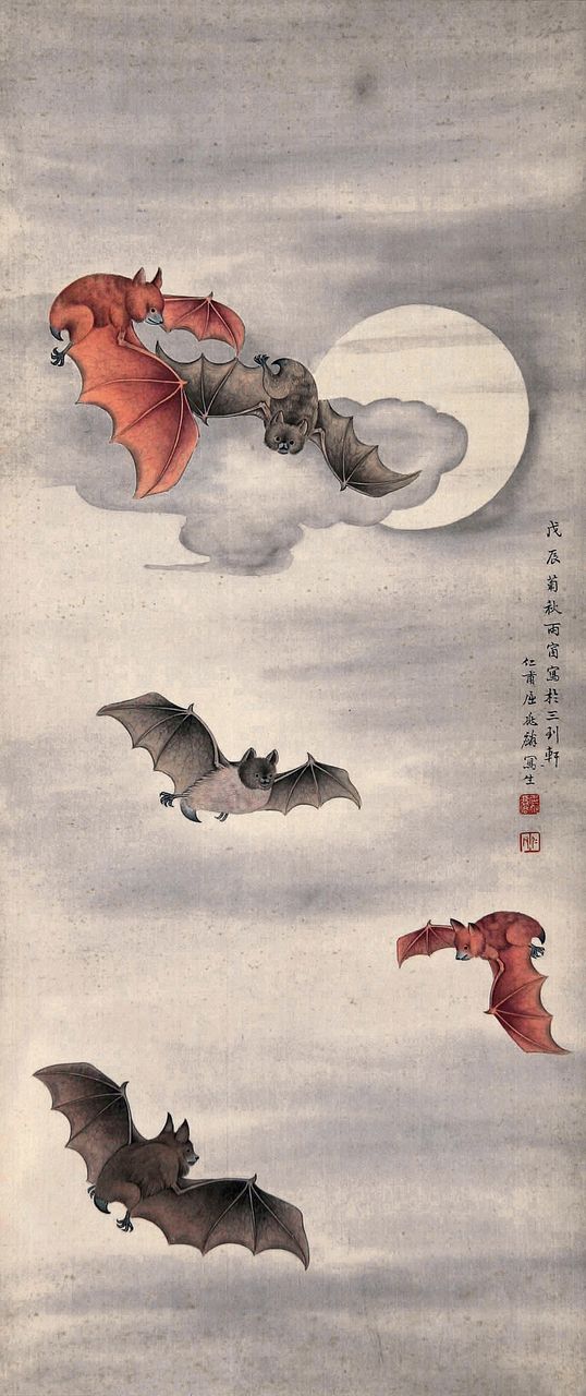 五福 五福