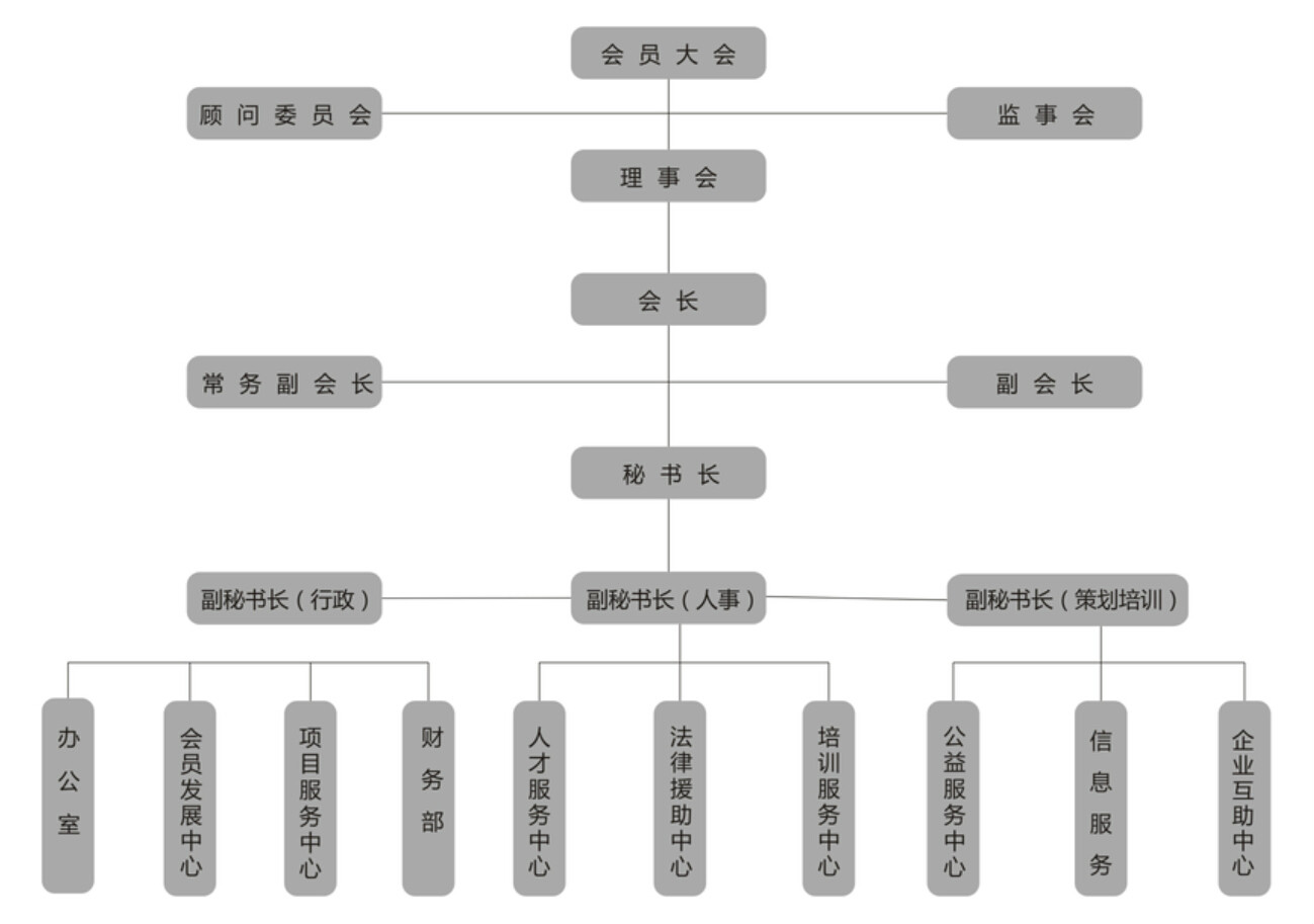 联合会组织结构 联合会组织结构