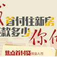 一成首付政策