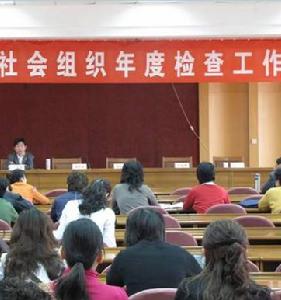 社会组织 社会组织