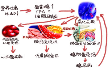 氧化应激是糖尿病的核心 氧化应激是糖尿病的核心