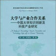 大学与产业合作关係：中国大学知识创新及科技产业研究