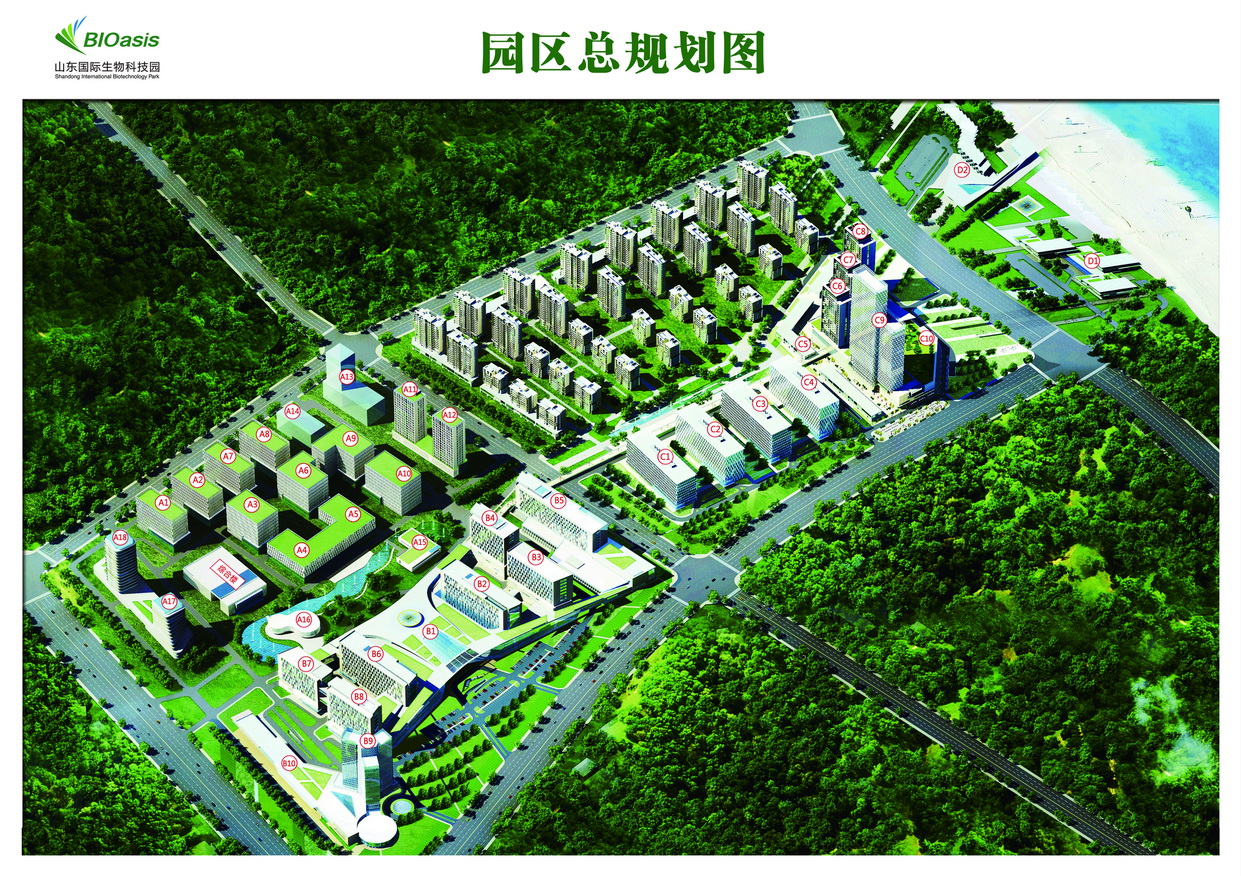 山东国际生物科技园