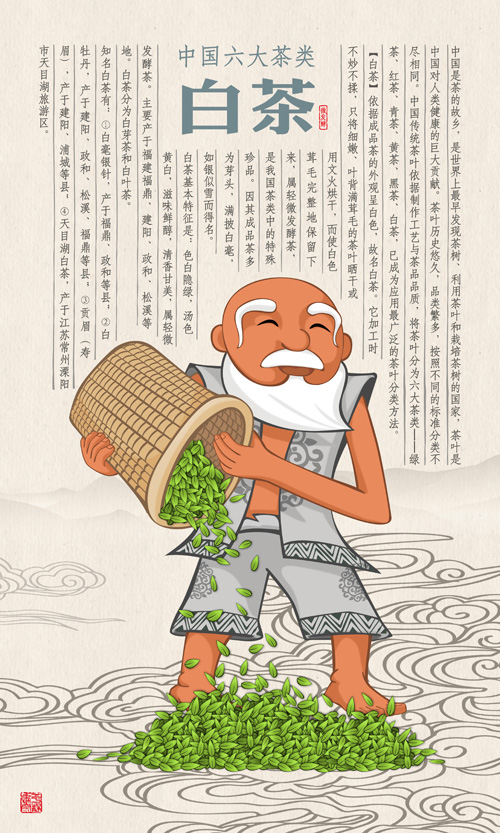 白茶(茶叶类别) 白茶(茶叶类别)