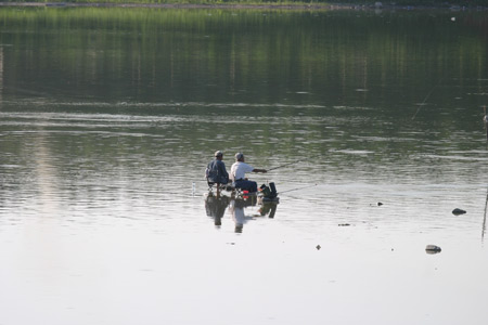 青马湖垂钓 青马湖垂钓