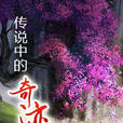 传说中的奇蹟