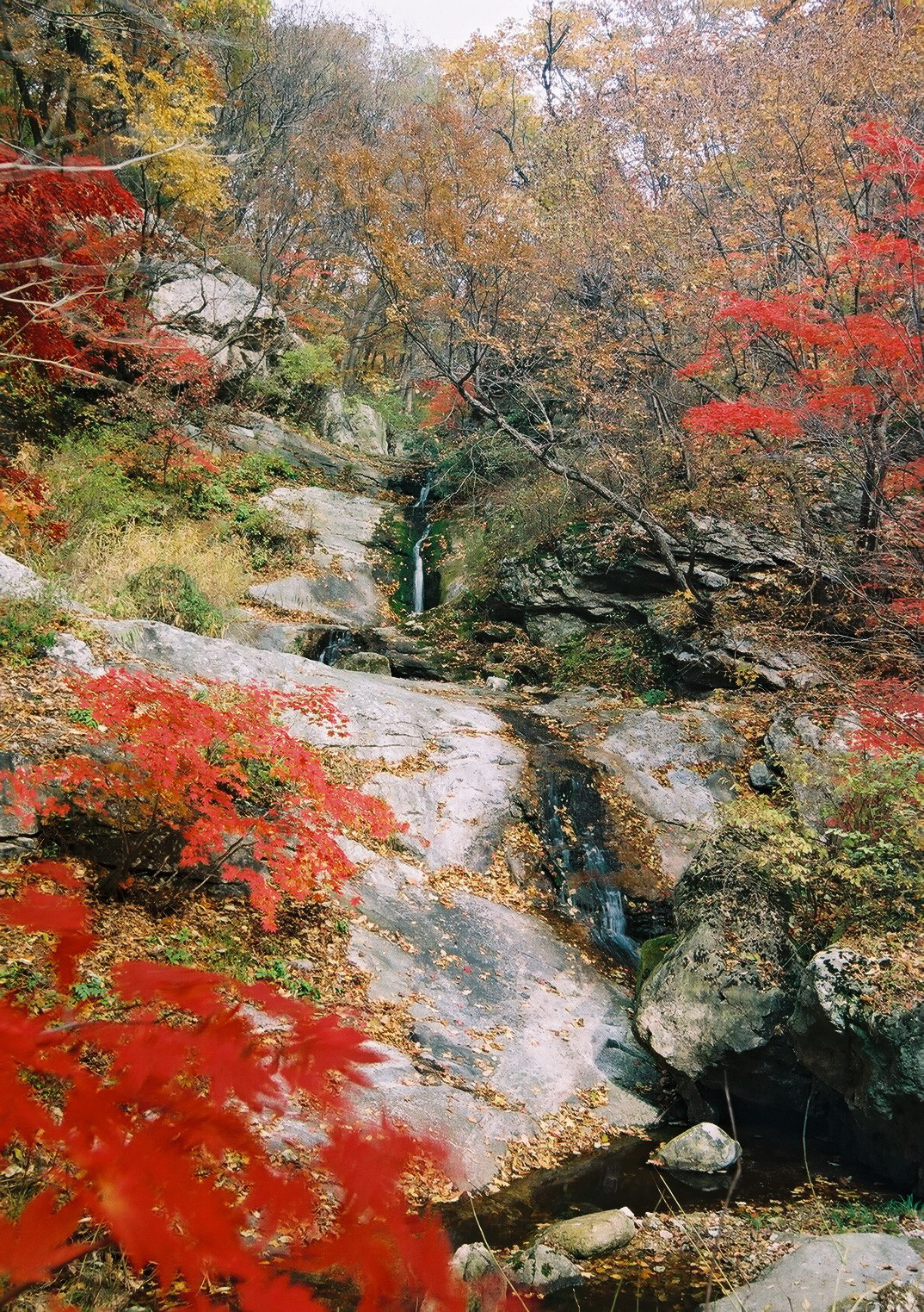 药山风景区 药山风景区