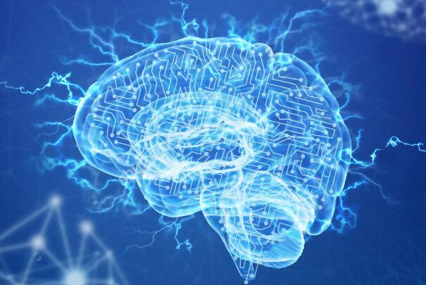 脑科学与类脑科学研究