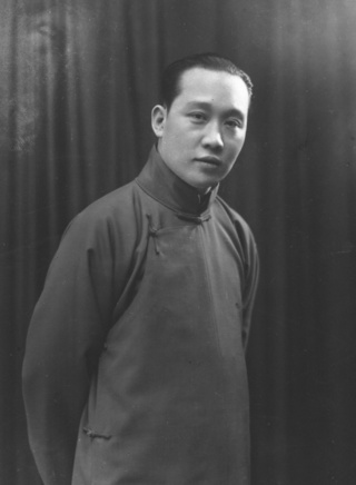 丁柳元