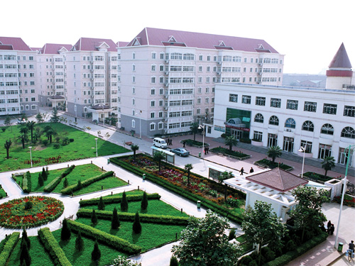 东岭村(陕西省宝鸡市金台区陈仓镇下辖村)