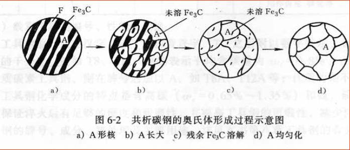 钢(钢材) 钢(钢材)