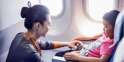 航空安全带 航空安全带