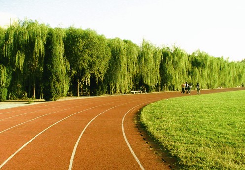 现代管理大学(现代城市学院) 现代管理大学(现代城市学院)